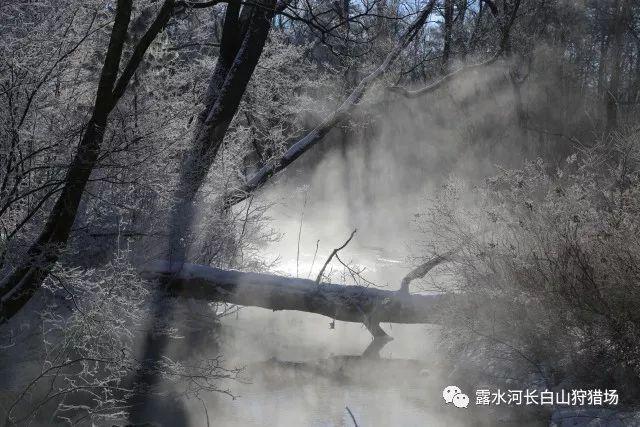 三小只僵尸的游戏时间3